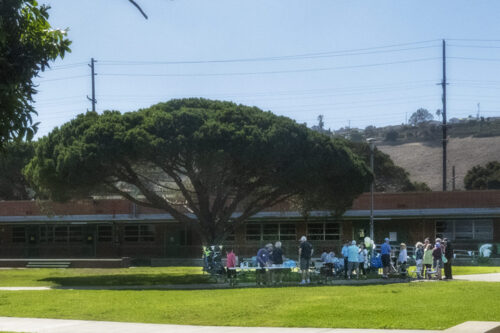 On the Senior Lawn...